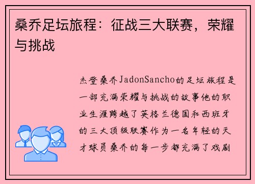 桑乔足坛旅程：征战三大联赛，荣耀与挑战