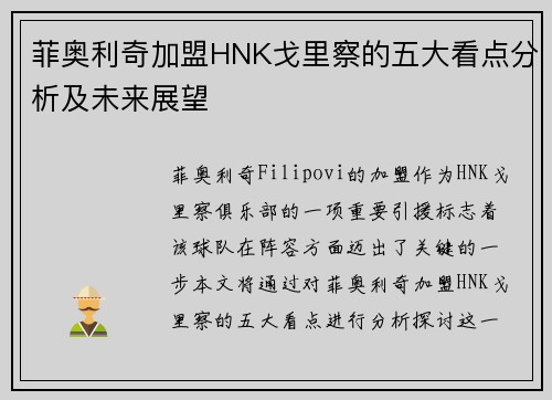 菲奥利奇加盟HNK戈里察的五大看点分析及未来展望